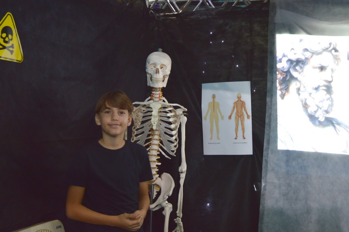 2e960a2f31c03b0388aa8cb521215197